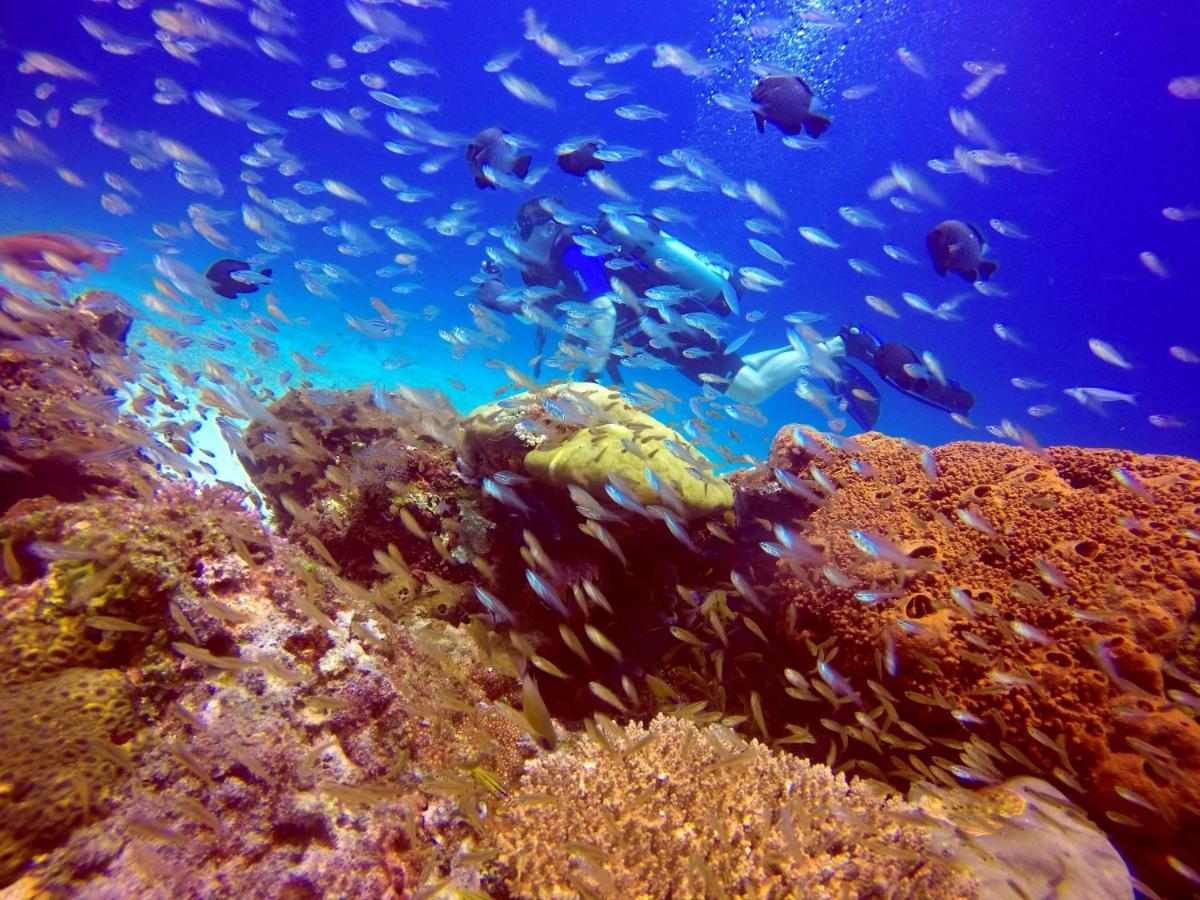 Anema Wellness & Resort Gili Lombok - Diving Center Padi Tanjung  Buitenkant foto