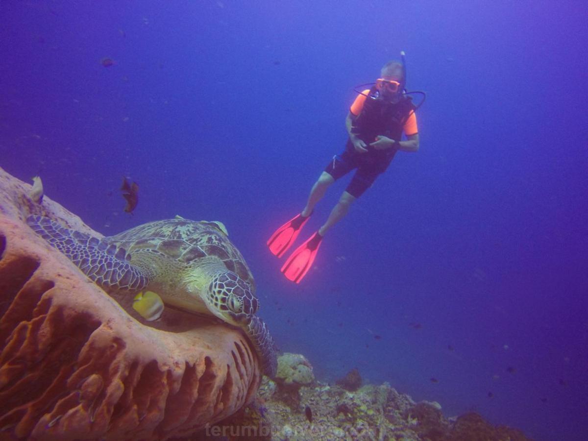 Anema Wellness & Resort Gili Lombok - Diving Center Padi Tanjung  Buitenkant foto